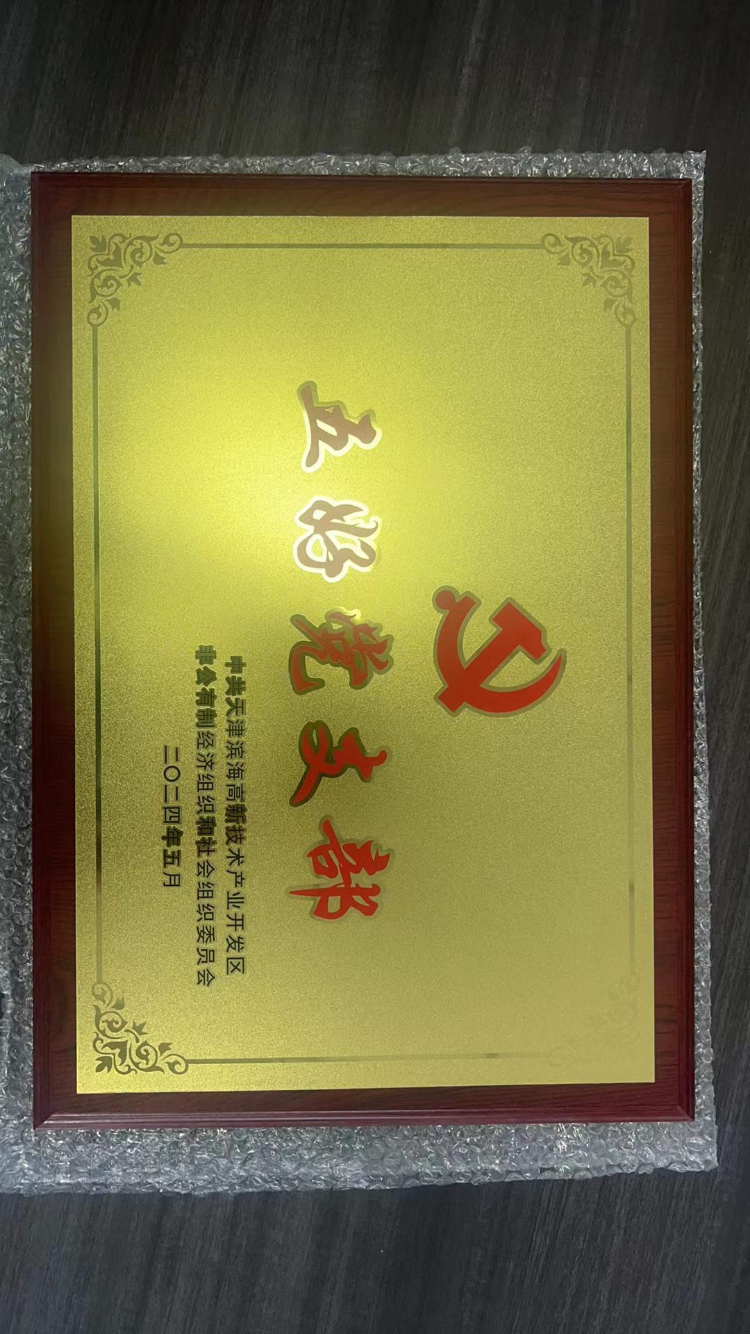 高新區(qū)“兩新”組織黨委2023年度“五好黨支部”表彰會(huì)